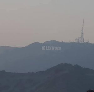 Meet your Posher, Jillian